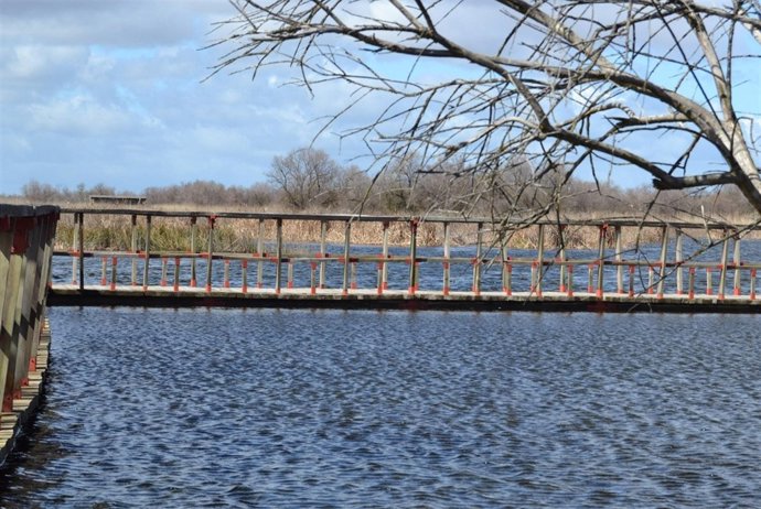 Las Tablas de Daimiel