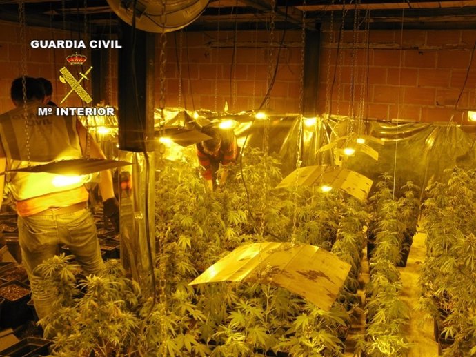 La Guardia Civil desarticula una organización criminal que traficaba con marihua