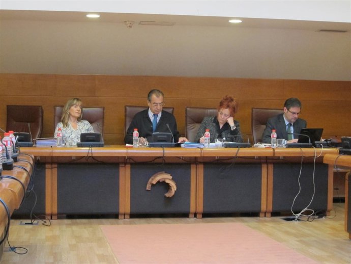 Comparecencia Cantur Ana Carrión