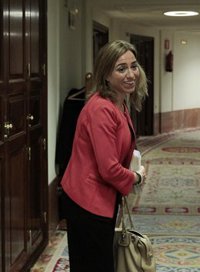 Urdangarin.- Chacón creu que és la Corona a qui "més convé" entrar a la Llei de Transparència