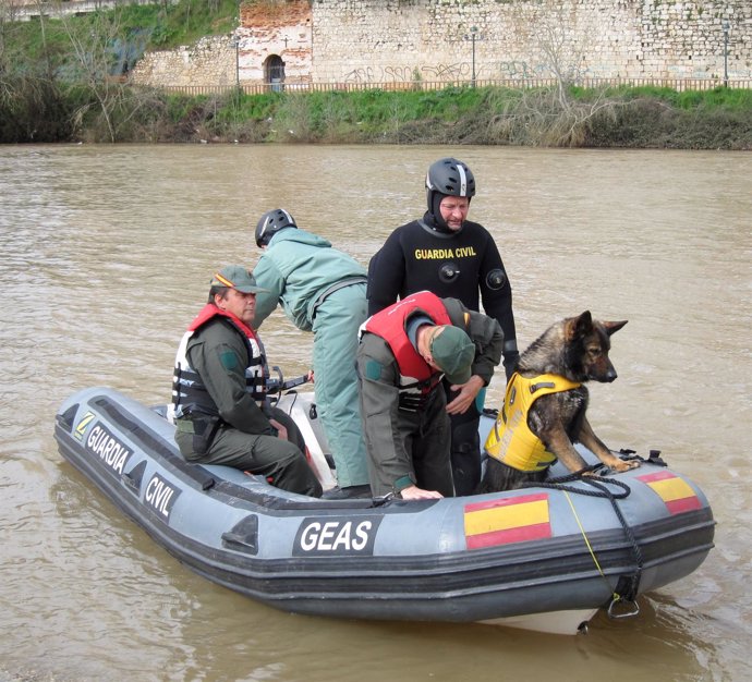 Uno de los perros a bordo de una zodiac del GEAS