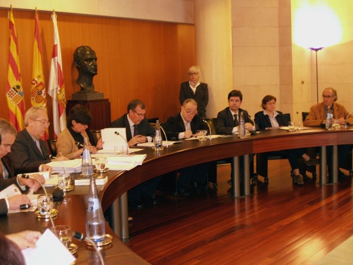 La DPH ha celebrado Pleno