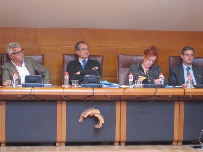 El arquitecto Eduardo Fernández Abascal, en la comisión de investigación