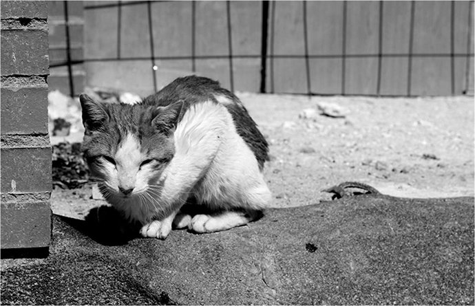 Campaña Eres lo Mejor para 