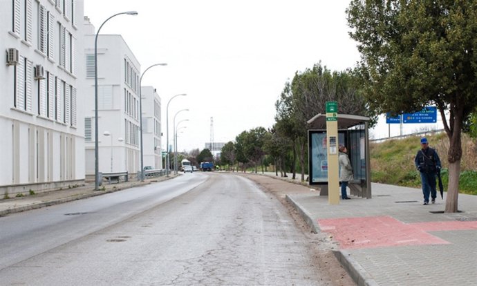 Zona de camas donde se proyecta el carril bici.