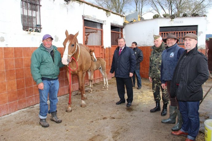 Centro Militar de Cría Caballar de Mazcuerras