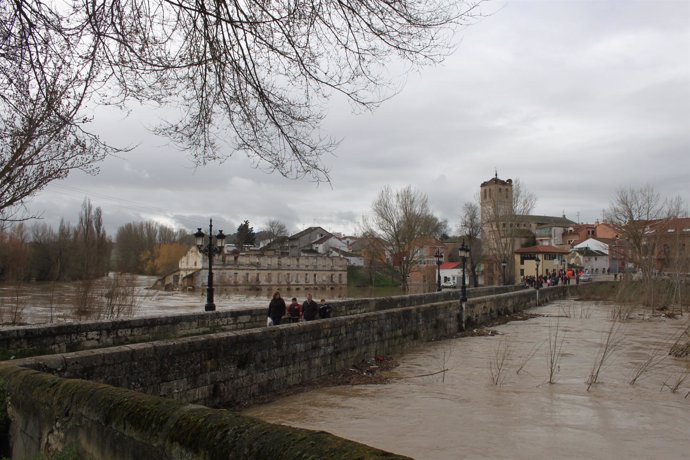 El río cega crecido a su paso por Mojados (Valladolid)