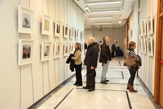Exposición en el Palacio de Colomina de Valencia