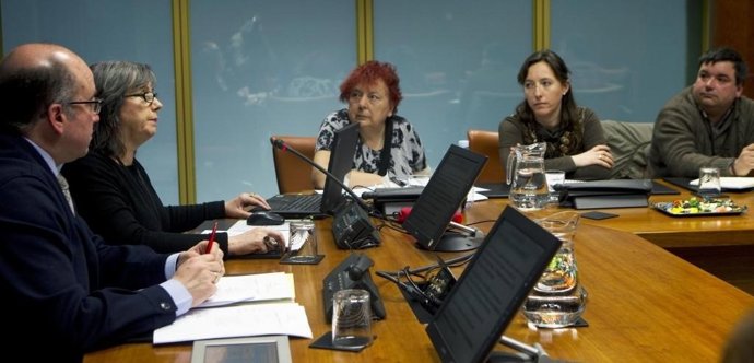 Comisión parlamentaria