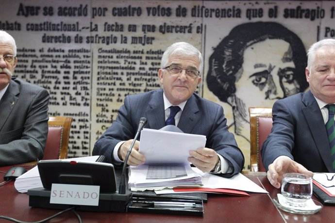 Gonzalo Moliner en el Senado