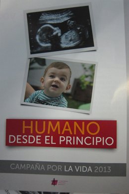 Campaña por la Vida 2013 CEE