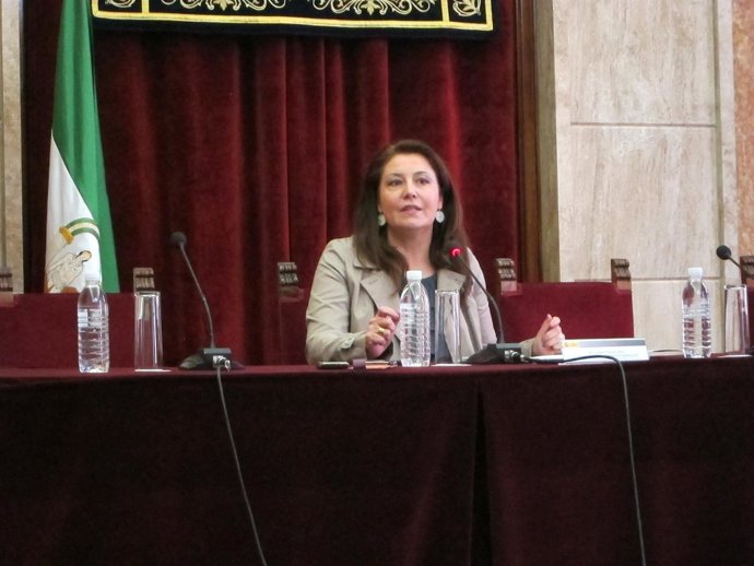 La delegada del Gobierno en Andalucía, Carmen Crespo