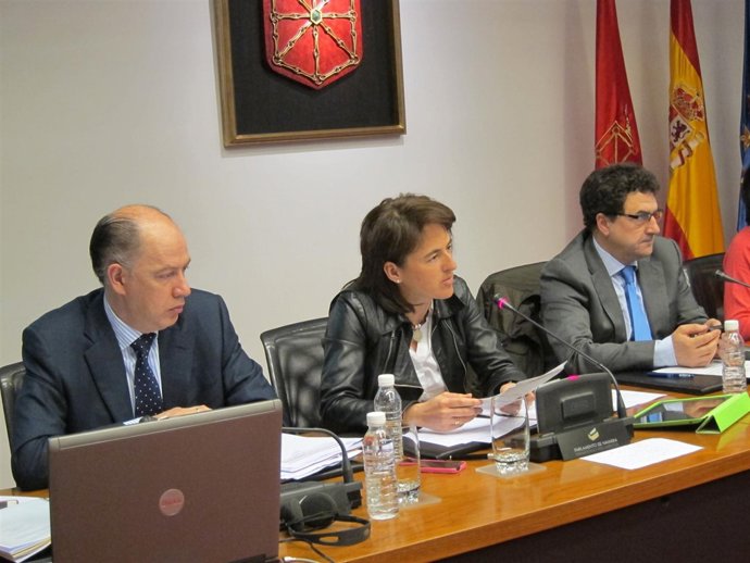 La consejera de Salud, Marta Vera, en comisión parlamentaria