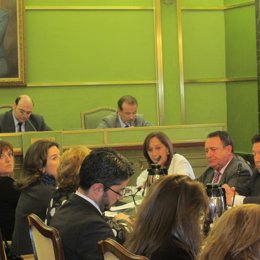 Pleno Ayuntamiento de Oviedo. 