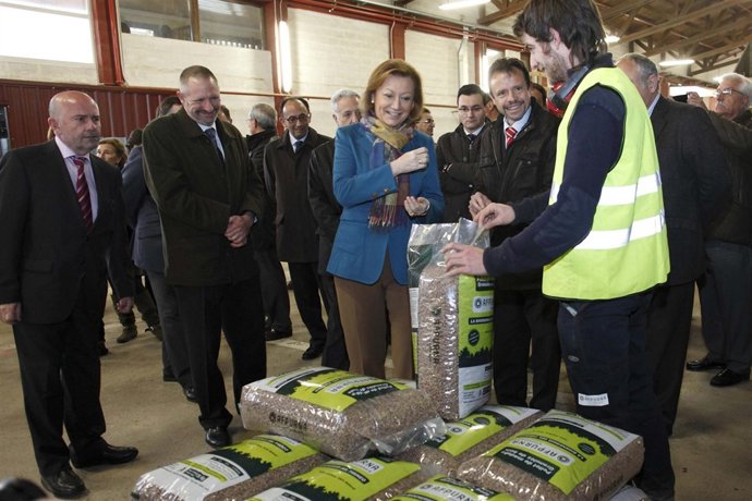 Luisa Fernanda Rudi este martes en la planta de biomasa en Ansó