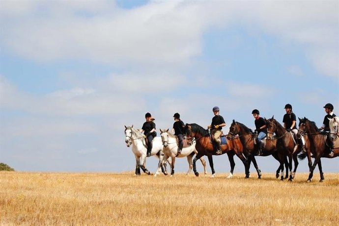 Rutas a caballo. Turismo ecuestre