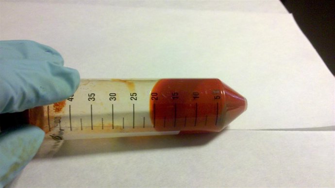 Pigmentos híbridos nanoestructurados creados en la UA