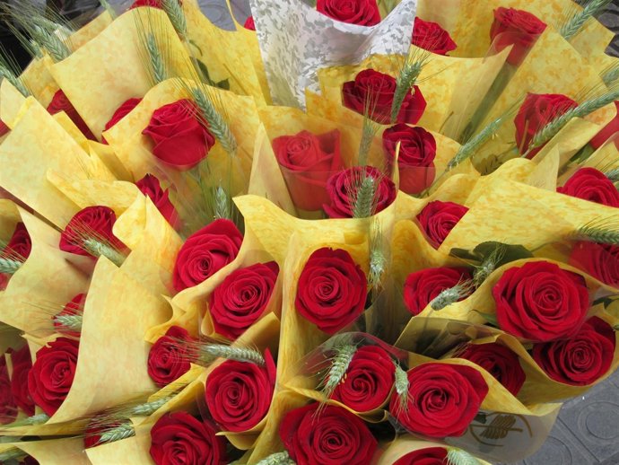 Rosas Por Sant Jordi 