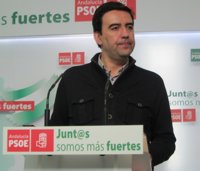 PSOE-A cree que la renuncia de la edil de Los Palacios por los trajes de flamenca "no merece más comentarios"
