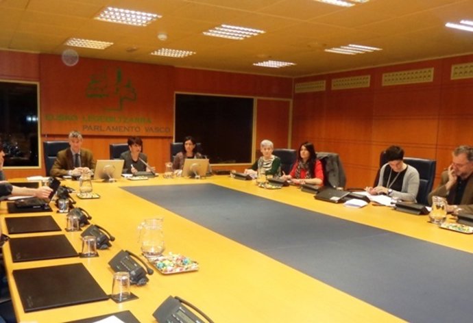 COMPARECENCIA DE LA PRESidenta de emakunde en el parlamento vasco 