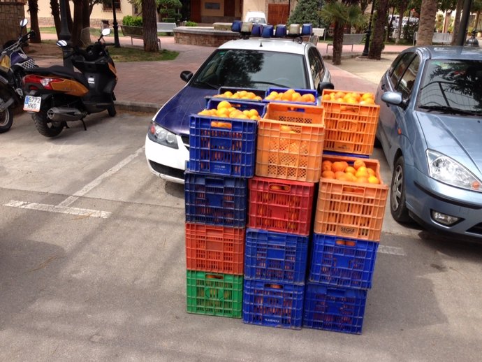 Naranjas recuperadas en Náquera
