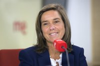 El Gobierno "cumplirá y aplicará" la sentencia sobre lactancia materna