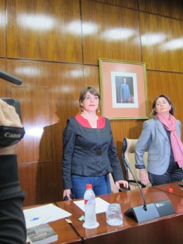 La consejera de Fomento y Vivienda, Elena Cortés