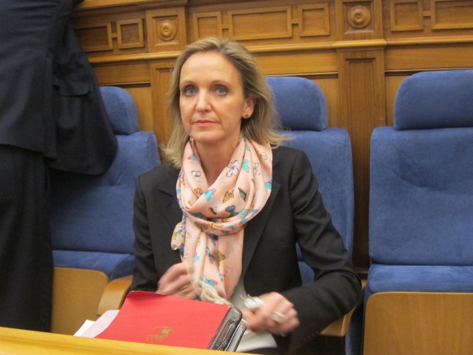 Pleno de las Cortes Mamen Casero