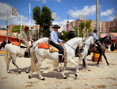 Caballos Feria de Abril