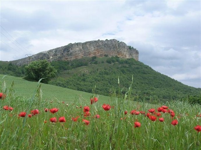 Parque Natural de Izki.