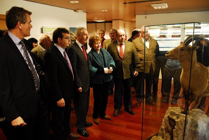 Lobón ha inaugurado este viernes la sala dedicada al bucardo