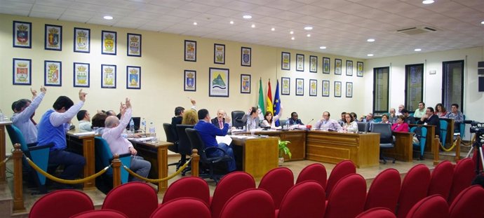 Pleno de la Mancomunidad Axarquía