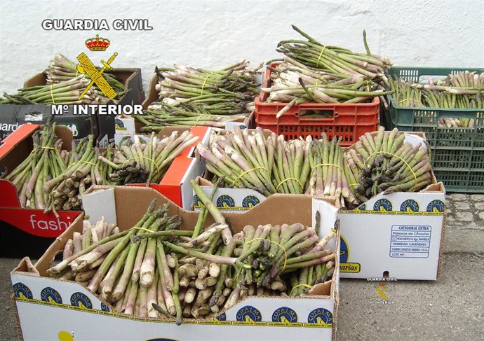 Espárragos recuperados