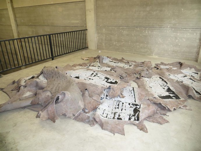 Las pieles en las que se ocultaba la droga