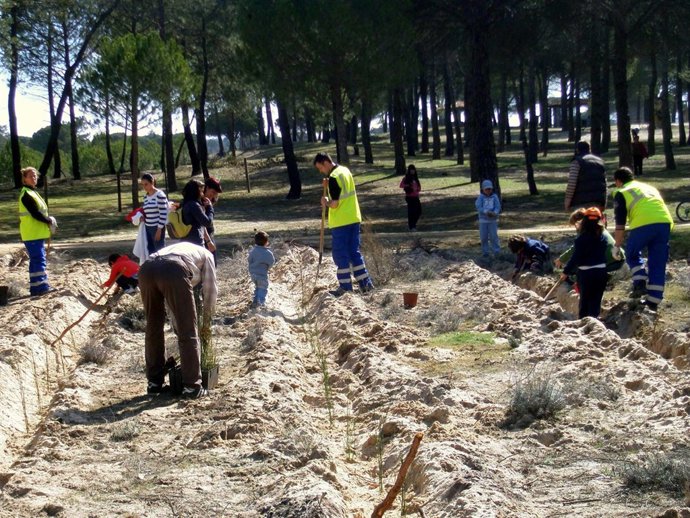 Plantaciones en Aldeamayor de San Martín (Valladolid)