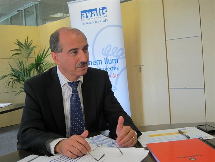 El consejero delegado de Avalis, Joan Cervera