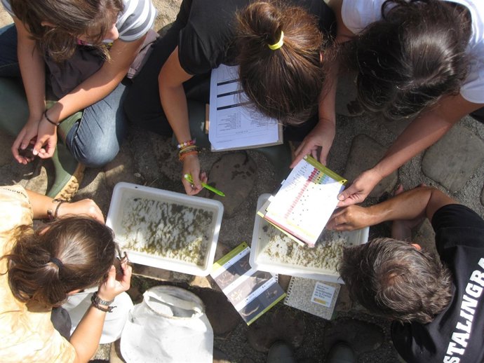 Imagen de un muestreo del proyecto