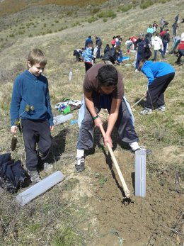 Niños plantando árboles dentro de la campaña de Fundación Caja Navarra