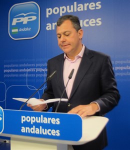 El secretario general del PP-A, José Luis Sanz, hoy en rueda de prensa