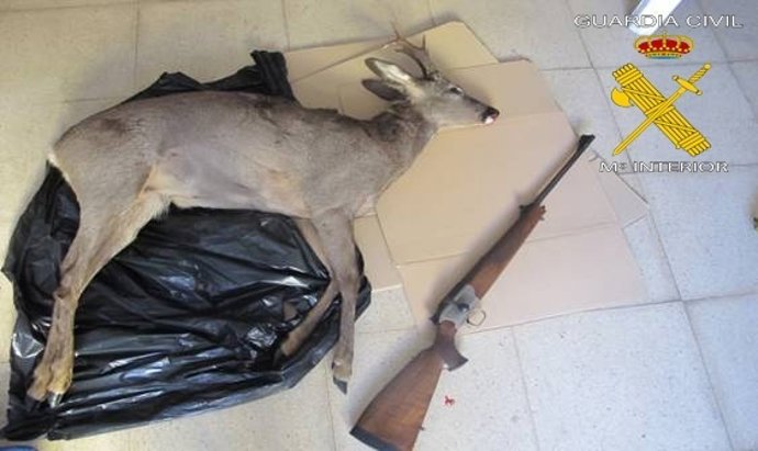 Corzo y rifle incautados por la Guardia Civil