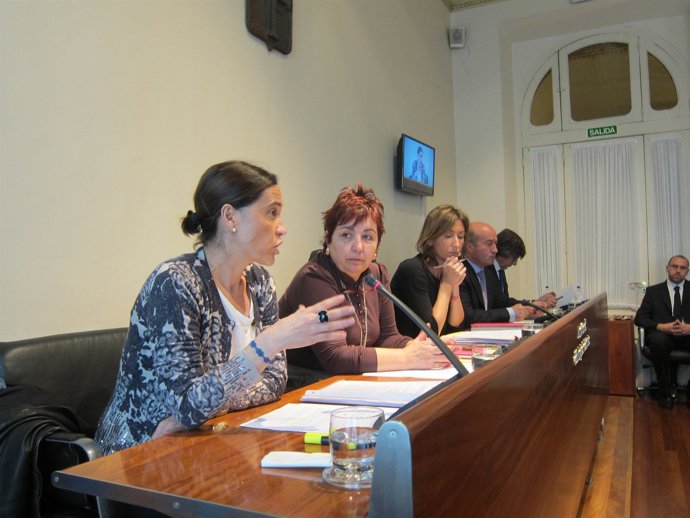 Carcedo responde a la pregunta de Prendes, en la Comisión de Hacienda.