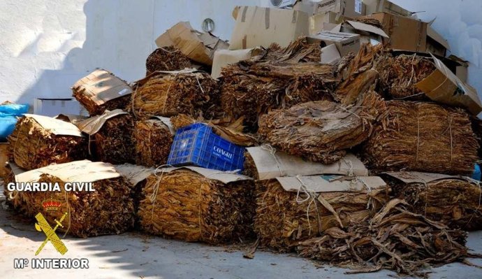 Operación resto con dos detenidos elaboración puros-caliqueños