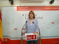 PSOE pedirá una nueva comparecencia en las Cortes de Nacho Villa y dice que "podría haber malversado fondos públicos"
