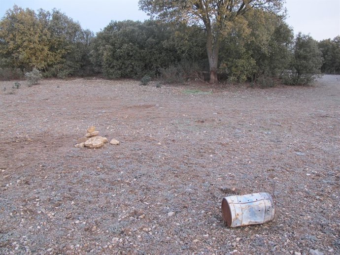 Cebadero para jabalíes descubierto en Peñafiel