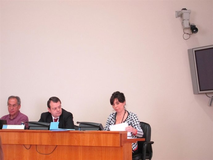 El director xeral de Industria, Bernardo Tahoces