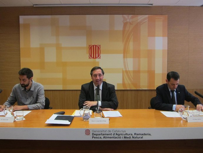 D.Valls, J.M.Pelegrí y M.Molins