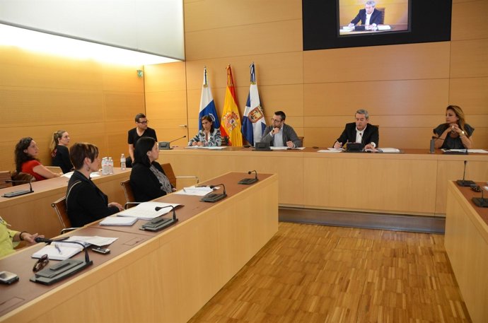 Consejo de Servicios Sociales