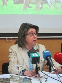 La Xunta defiende sus controles de mejillón