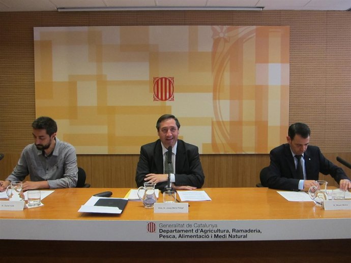 D.Valls, J.M.Pelegrí y M.Molins