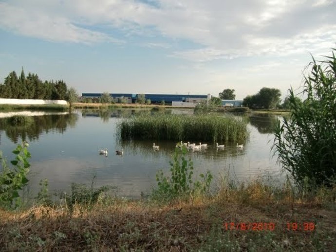 Laguna 'Los Charcones' En Moraleja (Cáceres)